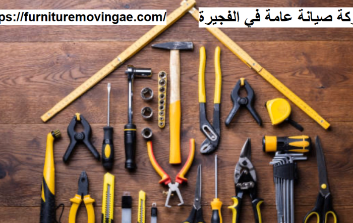 شركة صيانة عامة في الفجيرة